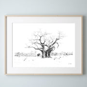 Baobaba-Print-1-Landscape-Frame