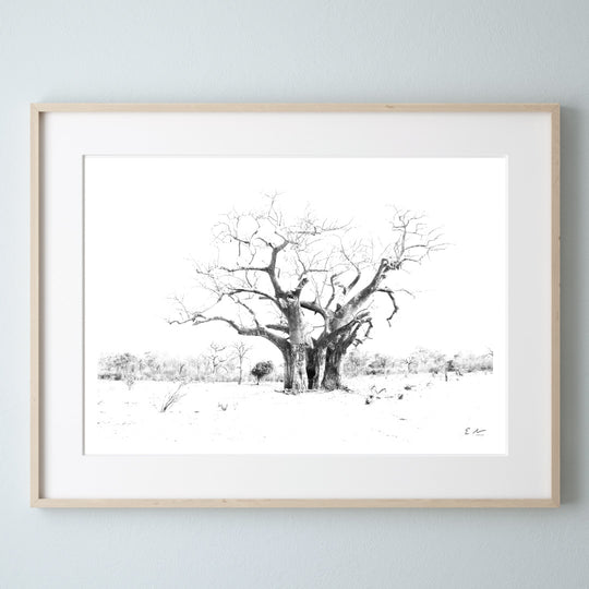 Baobaba-Print-1-Landscape-Frame