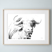 Buffalo-Print-1-Landscape-Frame