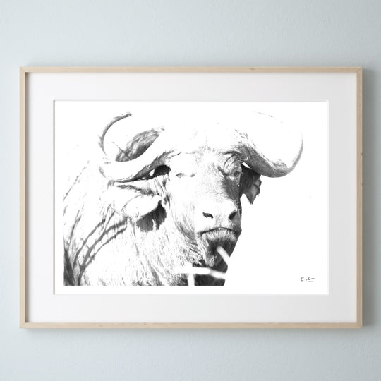 Buffalo-Print-1-Landscape-Frame