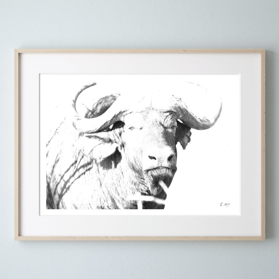 Buffalo-Print-1-Landscape-Frame
