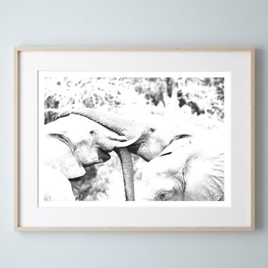 Elephant Art Print 1