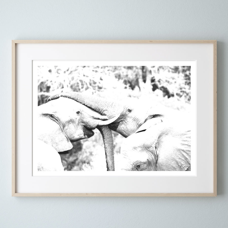 Elephant Art Print 1
