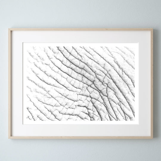 Elephant Skin Hide Print 4