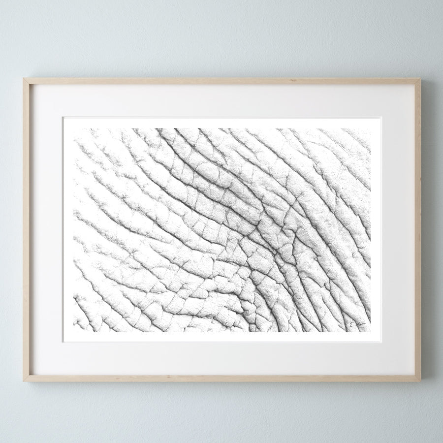 Elephant Skin Hide Print 4