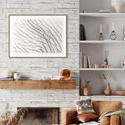 Elephant Skin Hide Print 4