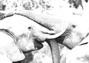 Elephant Art Print 1