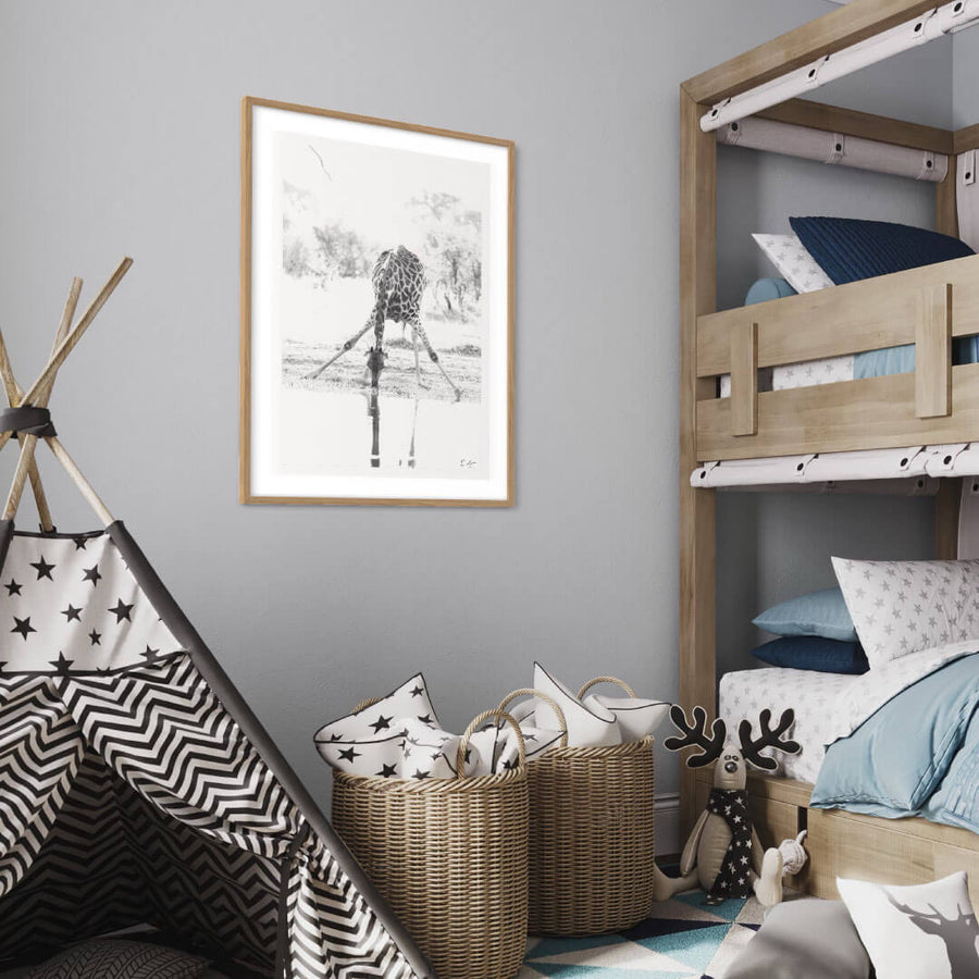 Giraffe Drinking Print 3