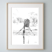 Giraffe Drinking Print 3