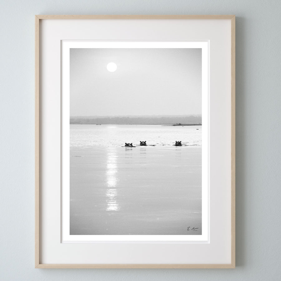 Hippo Sunset Print 1