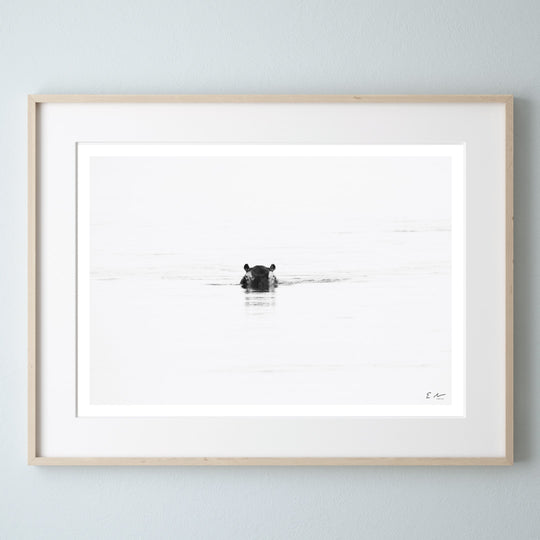Hippo Water Sunset Print 2