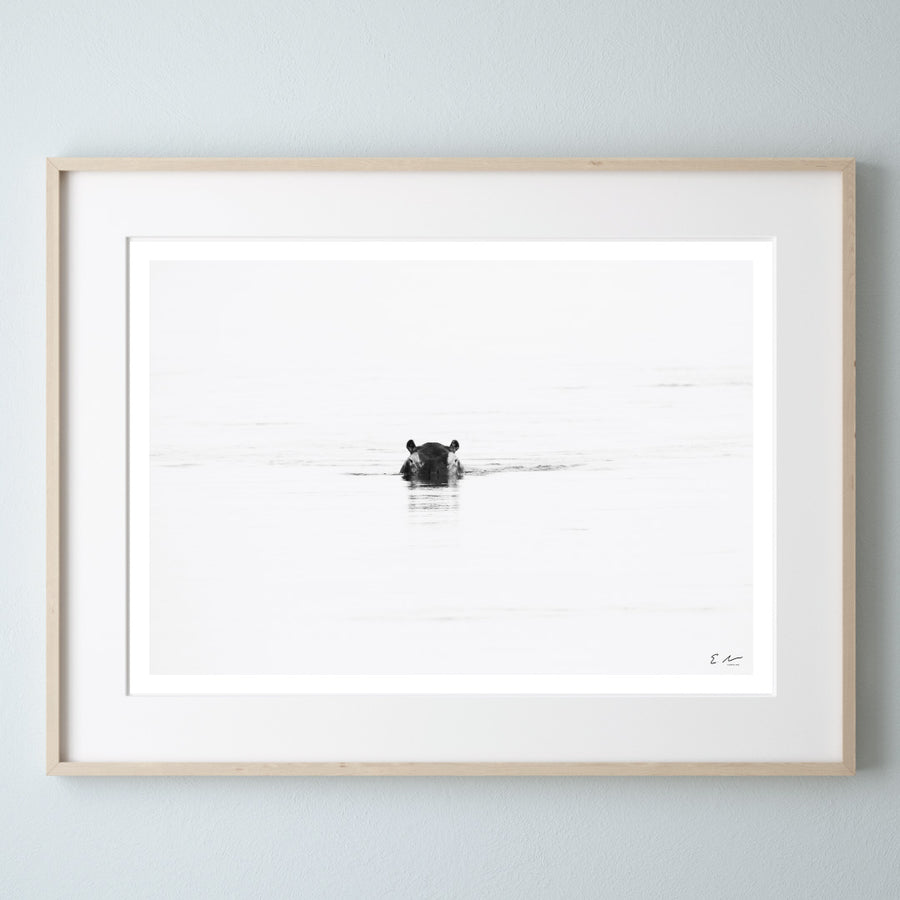 Hippo Water Sunset Print 2