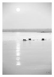 Hippo Sunset Print 1
