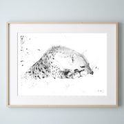Hyena Prints 1