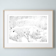 Lion Cub Print 3
