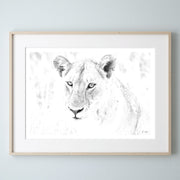 Lioness Print 4