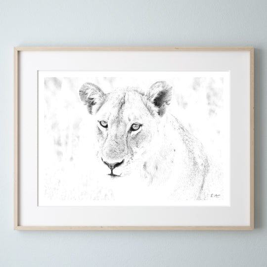 Lioness Print 4
