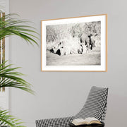 Rhino Prints - Crash 1