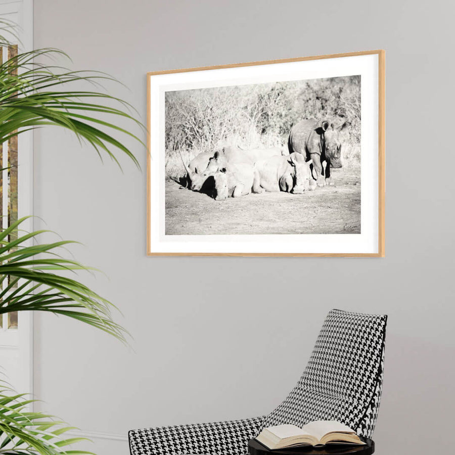 Rhino Prints - Crash 1