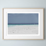 Sea Water Birds Print 2