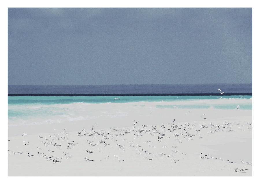 Sea Water Birds Print 2