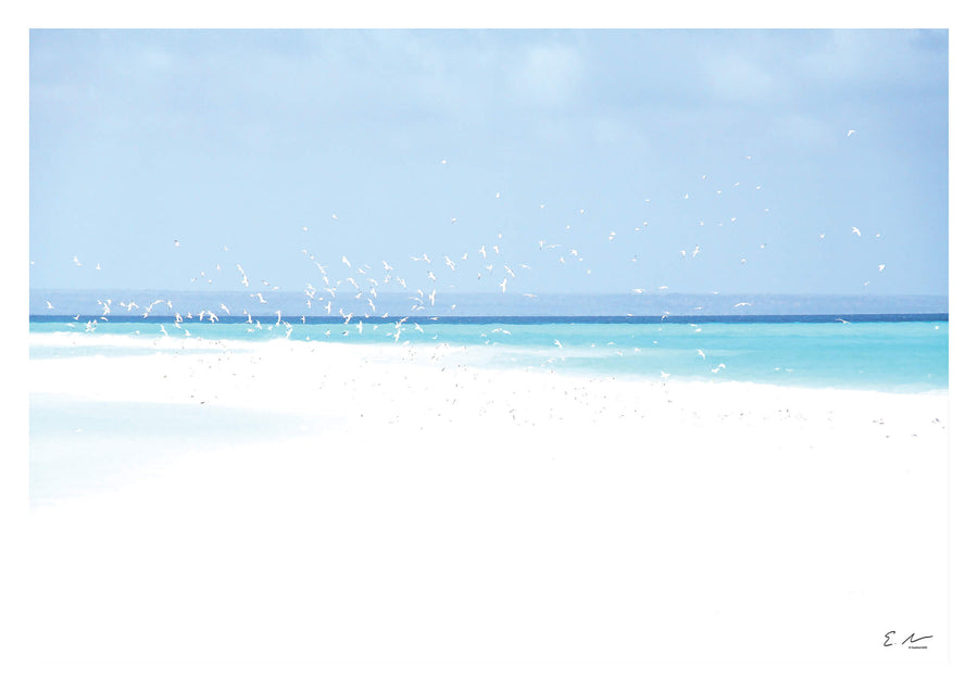 Seascape Birds Blue Print 1