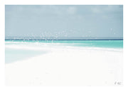 Seascape Birds Green Print 1