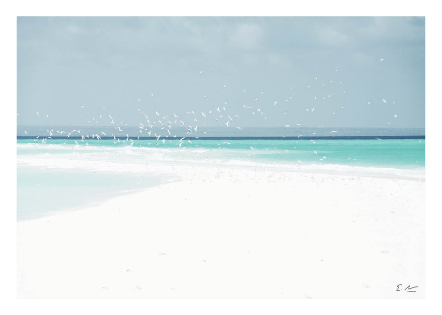 Seascape Birds Green Print 1