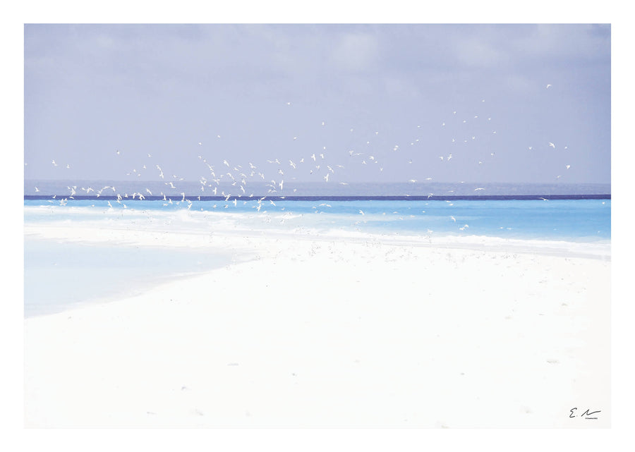 Seascape Birds Light Blue Print 1