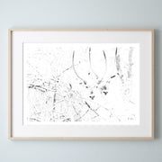 Water Buck Print 1