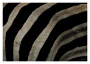 Zebra Print - Skin Hide