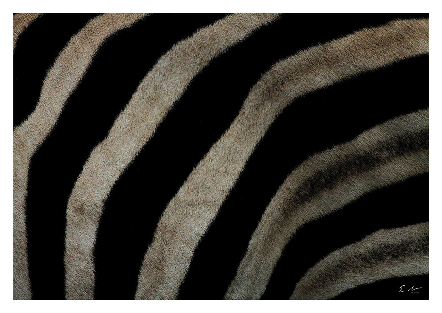 Zebra Print - Skin Hide