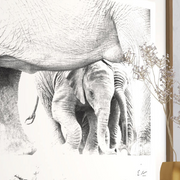 Elephant Baby Print 2