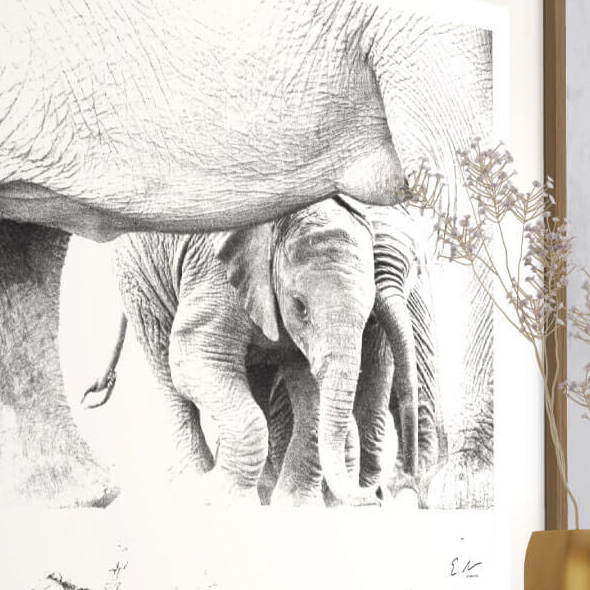 Elephant Baby Print 2