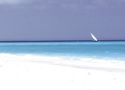 Sea Water Blue Print 1