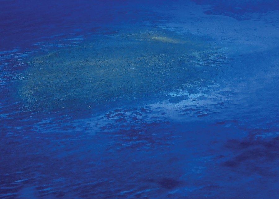 Sea Water Dark Print 2