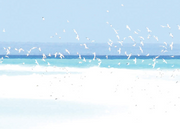 Seascape Birds Blue Print 1