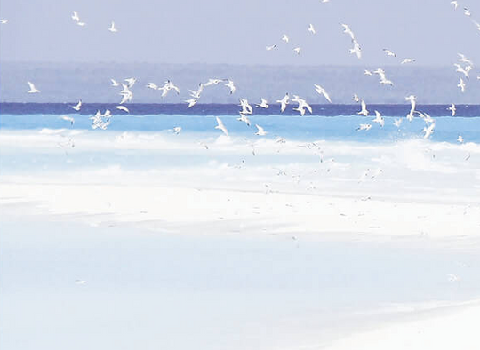 Seascape Birds Light Blue Print 1