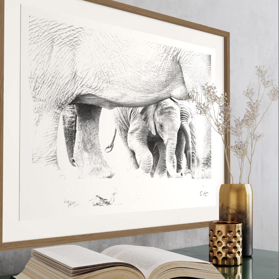 Elephant Baby Print 2