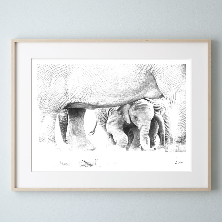 Elephant Baby Print 2