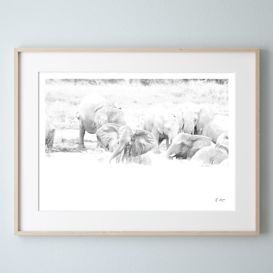 Elephant Water Print 3