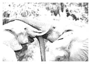 Elephant Art Print 1