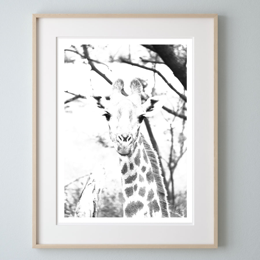 Giraffe Print 1