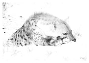 Hyena Prints 1