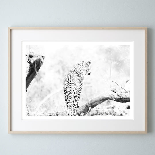 Leopard Cub Print 1
