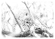 Leopard Cub Print 3