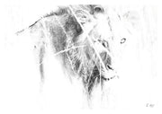 Lion Print 2