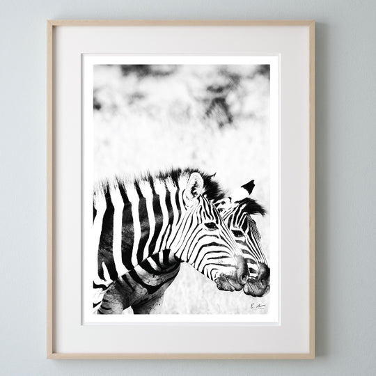 Zebra Print 2