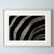 Zebra Print - Skin Hide
